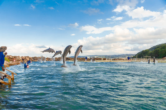 Unforgettable Experiences That Make Ocho Rios the Perfect Vacation Spot